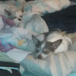 Meet your Posher, Renae